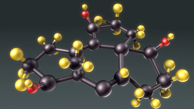 The Muscle Loss Problem Nobody Sells You Why Peptides for Fat Loss Is the Wrong Frame and Body Composition Is the Real Target